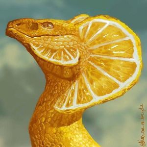 Meet your Posher, Lydia